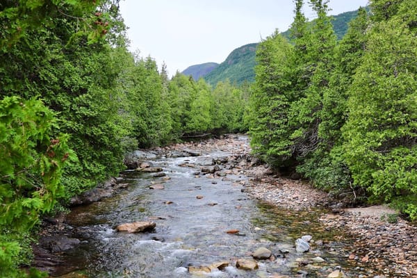 Descubriendo la Gaspésie, el mejor secreto de Canadá