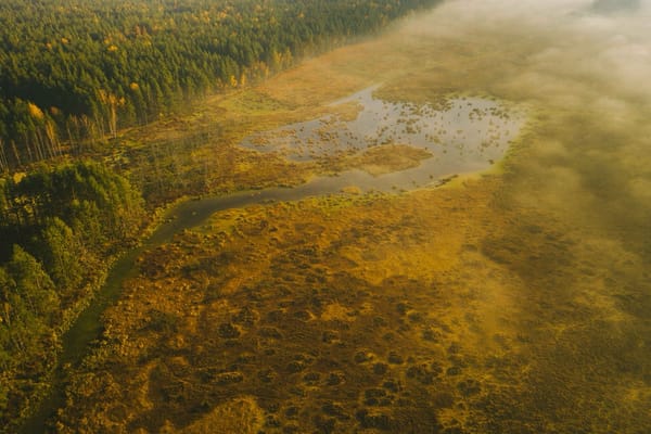 Descubriendo Lituania bajo los colores del otoño