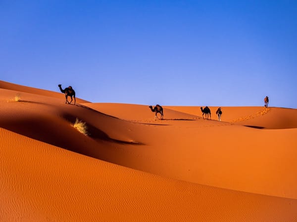 Excursiones de un día desde Marrakech