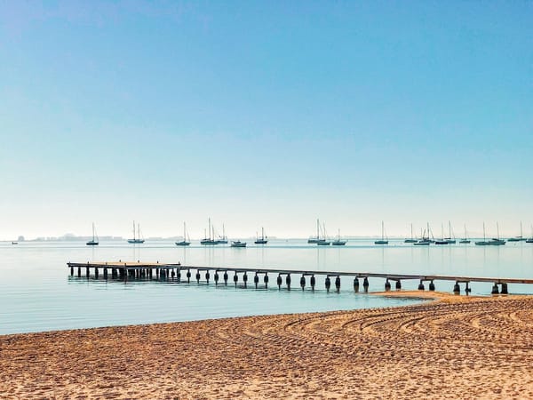 Diez motivos para salvar el Mar Menor