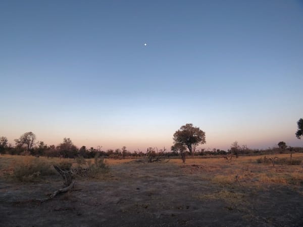 Botsuana, un viaje al África salvaje