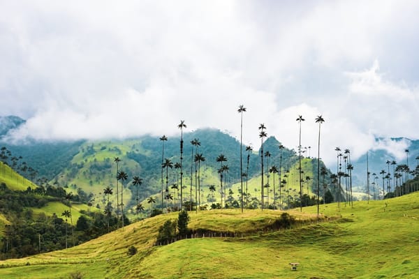 Los países del mundo donde más llueve