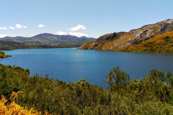 Un paseo por el río Esla entre León y Zamora