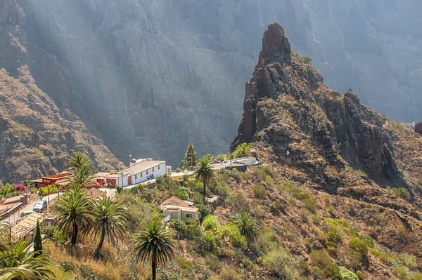 Las mejores excursiones en Tenerife