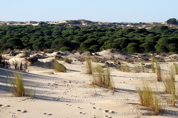 Los secretos de la costa de Huelva