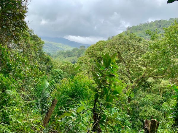 Santa Fé, el pulmón de Panamá