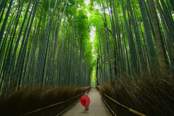 Descubriendo Arashiyama en Kioto