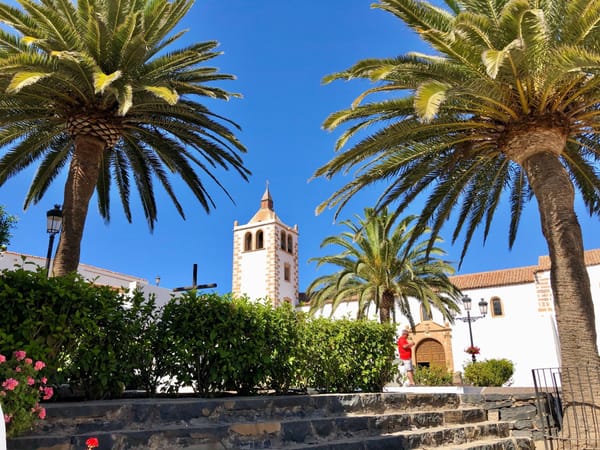 Las mejores excursiones en Fuerteventura