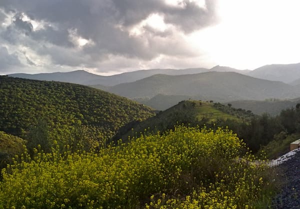 Sierra Morena, la naturaleza más salvaje de Andalucía