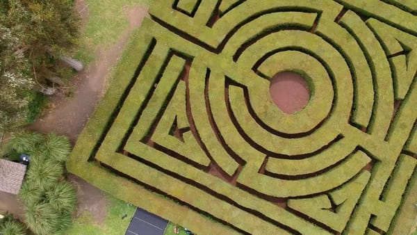 Los jardines más bonitos de Ciudad de México