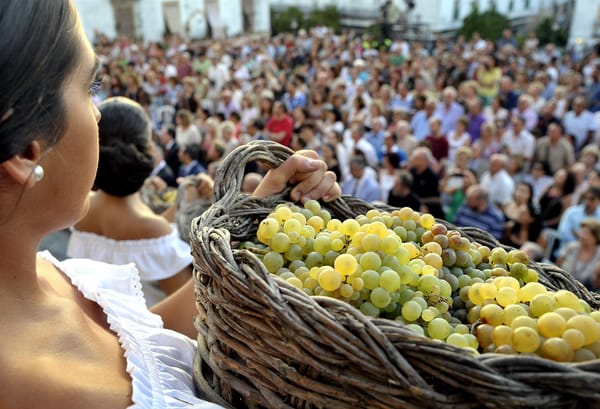 15 rincones en España para disfrutar de la vendimia