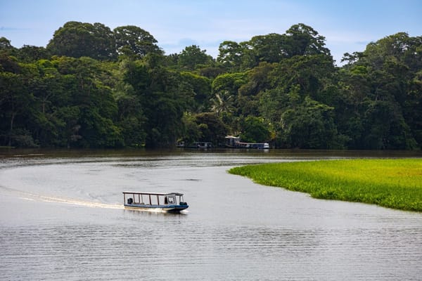 Descubriendo Tortuguero, el paraíso perdido de Costa Rica