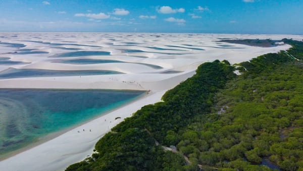 Descubriendo la ruta de las Emociones en Brasil