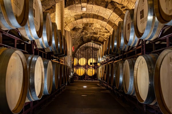 Descubriendo la ruta del vino de Arribes